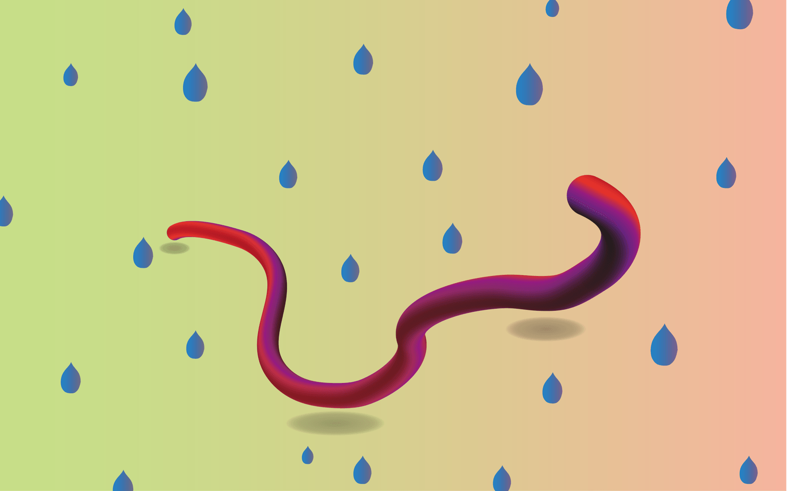 3d-worm.png
