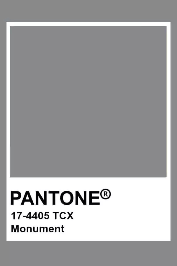 pantone-3.webp